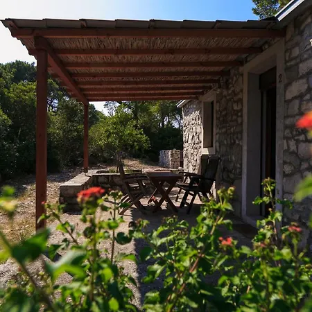 Vojvoda - Appartement *